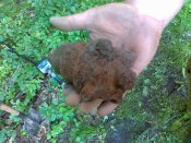 23072011069.JPG