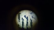 IMG_20170312_191054841.jpg