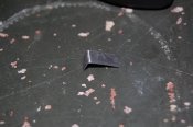 DSC_0479.JPG