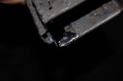 DSC_0480.JPG