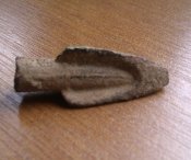 IMAG1276-1.jpg