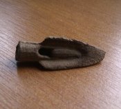 IMAG1275-1.jpg