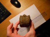 DSCN3533.JPG
