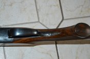 DSC_0062.JPG