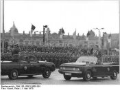 323mm.jpg