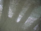 DSCN8285.jpg