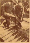 German artillery.PNG