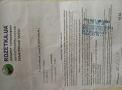 P70315-170220.jpg