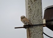 DSCN3141.JPG