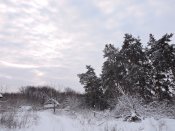 DSCN5180.JPG