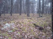 PICT0066.jpg