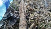 20170314_165319.jpg