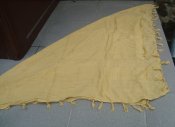 DSC06689.JPG
