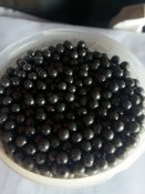 20170317_084046.jpg