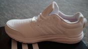 DSC05447.JPG