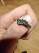 IMG_20170318_210346.jpg