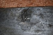 DSC_0027.JPG