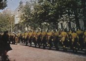 odessa.jpg