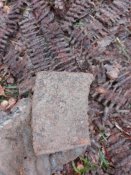 IMG_20170319_101947.jpg