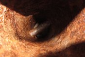 IMG_9547.JPG