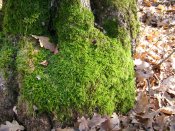 IMG_0592.jpg