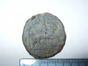 SDC12446.JPG