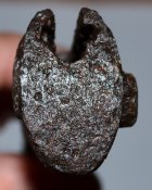 DSC_8869.JPG