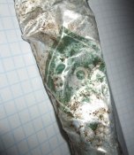 Фрагмент тюбика "BIOX" 34год. с остатками зубной пасты.