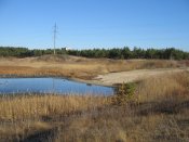 IMG_3199.jpg