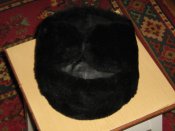 IMG_3398.jpg