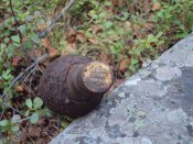 DSC00510.jpg