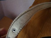 DSC08419.JPG
