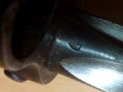 241120116704.jpg