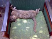 080620115495.jpg