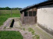 100_2695.jpg