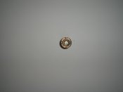 P1010023.jpg