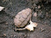 Коп у Северского Донца (8).jpg