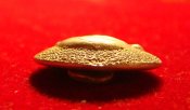DSC06941.JPG