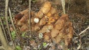 DSC01102.jpg
