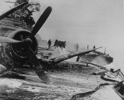 Kamikaze_600-4.jpg