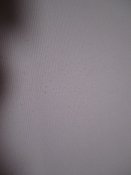 IMG_6318.JPG