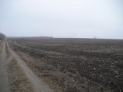 CIMG5782.jpg