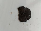 IMG_20170326_185639.jpg