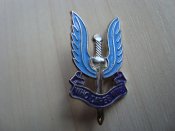 Знак SAS.