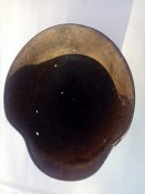 IMG_20170329_075847.jpg