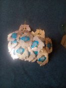 IMG_20170329_131048.jpg