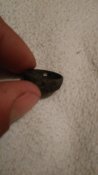 IMG_20170329_174204.jpg