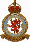 RAF 310.jpg