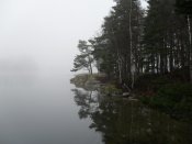 SDC12605.jpg
