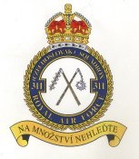 311sqdn.jpg
